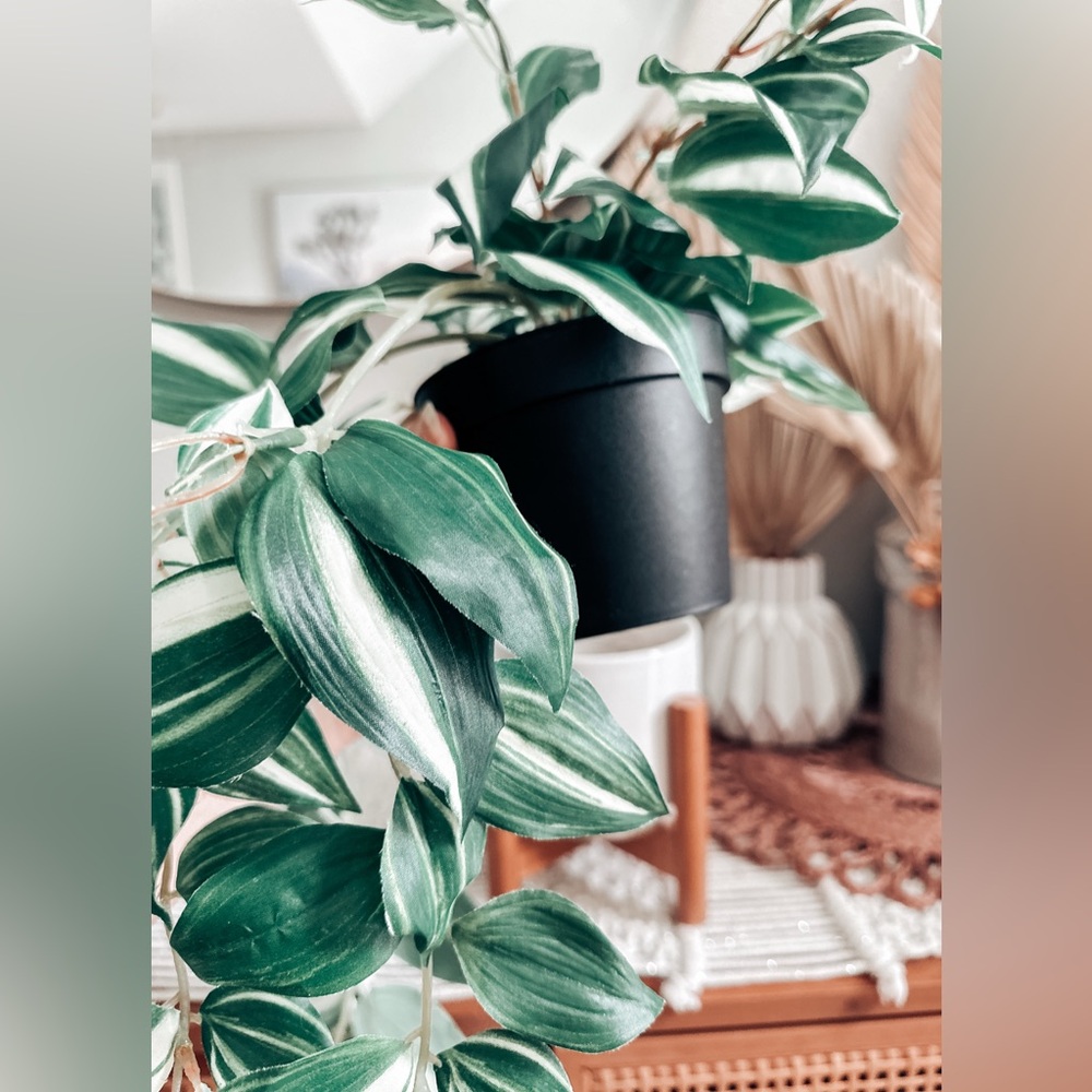 Pottery Barn Artificial Wandering Variegated Plant minimalist Boho Decor - Picture 6 of 7